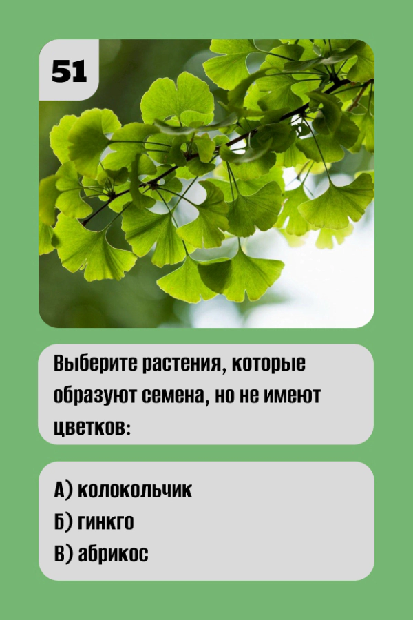 Развивающая карточная игра по Биологии - 5 класс